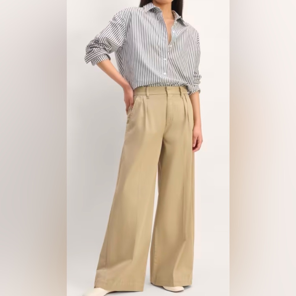 Everlane The Pleated Wide Leg Chino